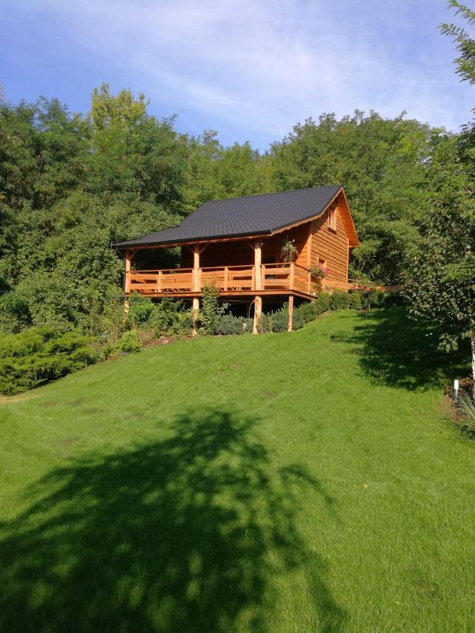 Villa Eden Ślesin Eksteriør bilde